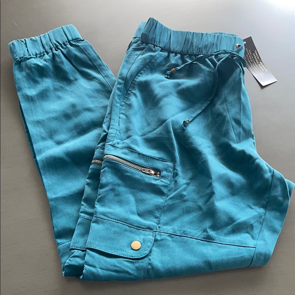 NWT Banana Republic Tencil Dress Cargo Pant